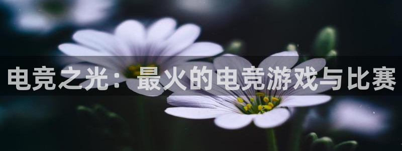 完美电竞app官网：电竞之光：最火的电竞游戏与比赛