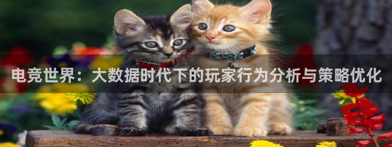 完美电竞平台下载