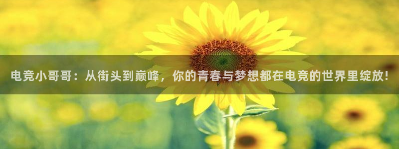 完美电竞|官网：电竞小哥哥：从街头到巅峰，你的青春与梦想都在电竞的世界里绽放!