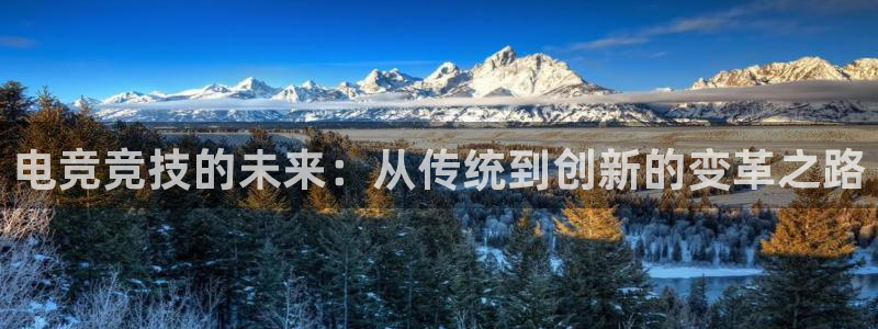 完美电竞大会员：电竞竞技的未来：从传统到创新的变革之路
