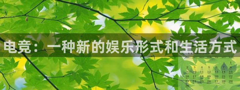 完美电竞手机app：电竞：一种新的娱乐形式和生活方式