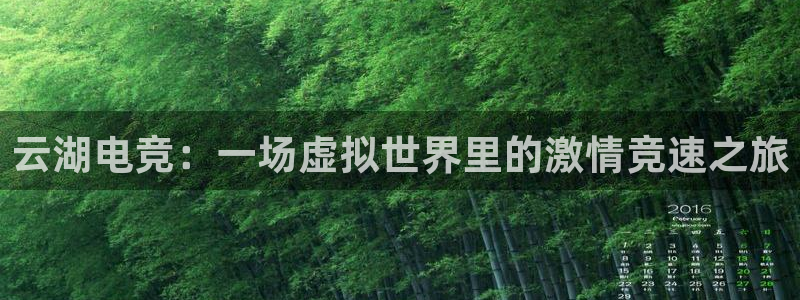 完美电竞平台官网：云湖电竞：一场虚拟世界里的激情竞速之旅