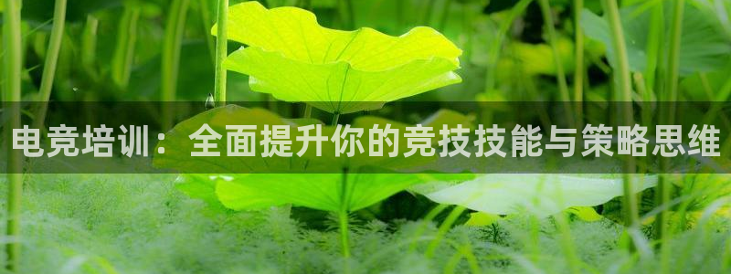 完美电竞平台下载：电竞培训：全面提升你的竞技技能与策略思维