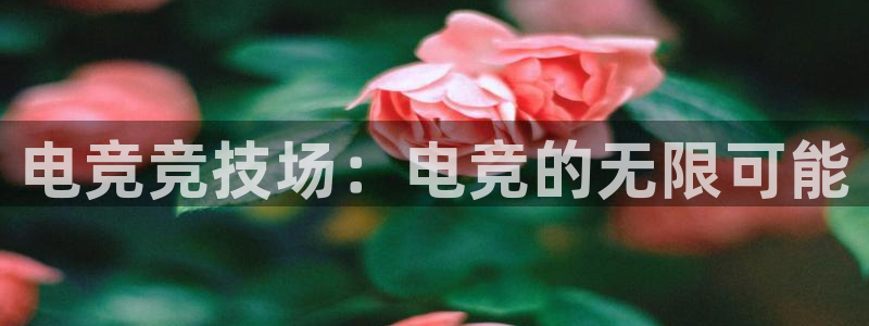 完美电竞app官网：电竞竞技场：电竞的无限可能