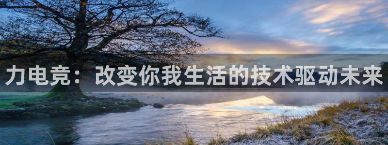 完美电竞平台官网