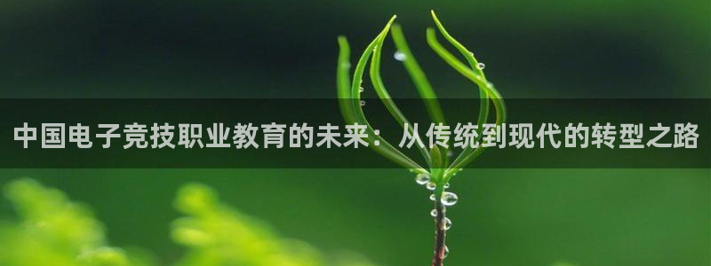 完美电竞注册：中国电子竞技职业教育的未来：从传统到现代的转型之路