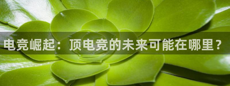 完美电竞联赛：电竞崛起：顶电竞的未来可能在哪里？