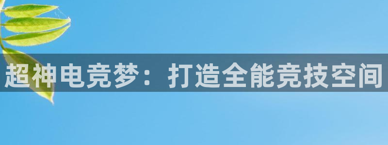 完美电竞大会员：超神电竞梦：打造全能竞技空间