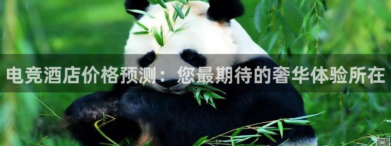 完美电竞app官网：电竞酒店价格预测：您最期待的奢华体验所在