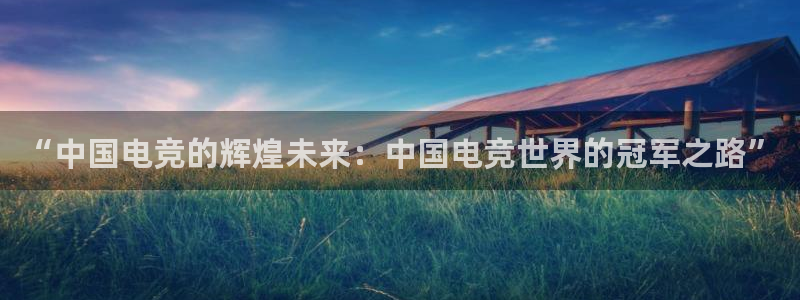 完美电竞手机app：“中国电竞的辉煌未来：中国电竞世界的冠军之路”