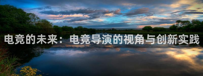 完美电竞官网盛大升级：电竞的未来：电竞导演的视角与创新实践