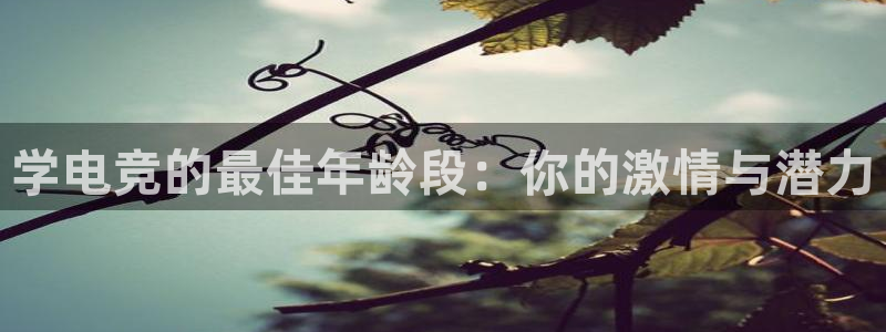 完美电竞平台官网：学电竞的最佳年龄段：你的激情与潜力