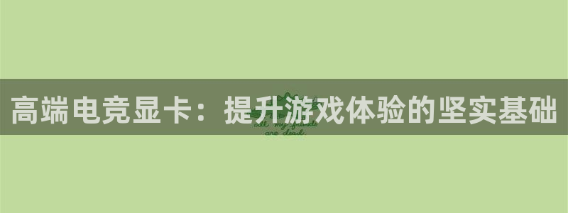 cs完美电竞平台：高端电竞显卡：提升游戏体验的坚实基础